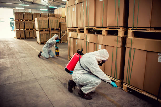 Best Mosquito Control Services  in Pearl Beach, MI