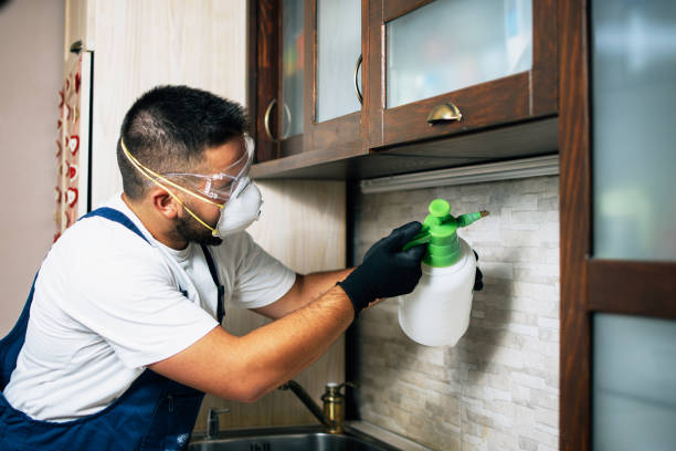 Best Insect Control  in Pearl Beach, MI
