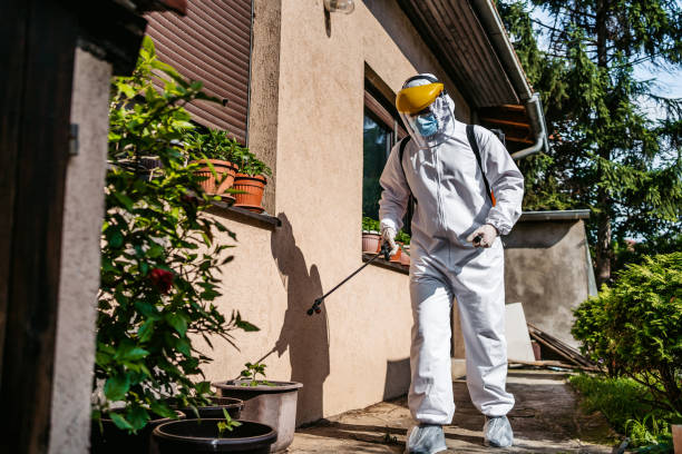 Best Pest Prevention Services  in Pearl Beach, MI