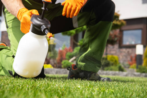 Best Residential Pest Control  in Pearl Beach, MI
