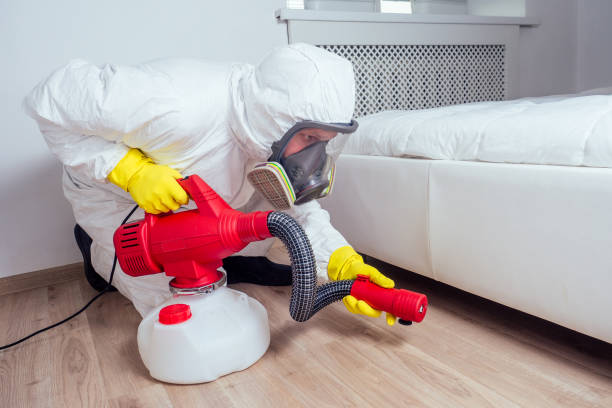 Best Wasp Removal Services  in Pearl Beach, MI
