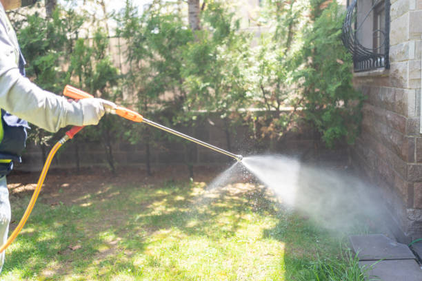 Best Pest Inspection Near Me  in Pearl Beach, MI