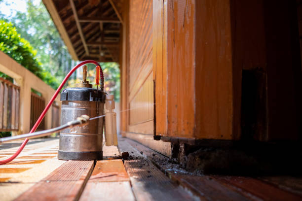 Best Pest Removal Services  in Pearl Beach, MI
