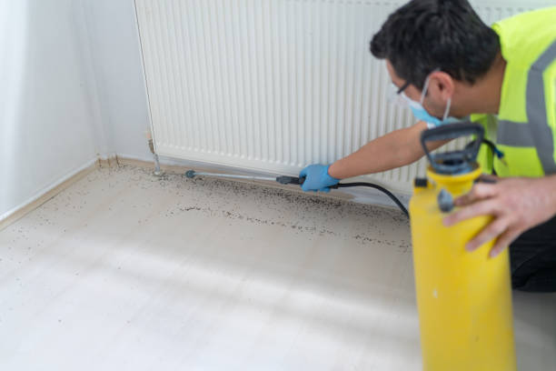 Pest Prevention Services in Pearl Beach, MI
